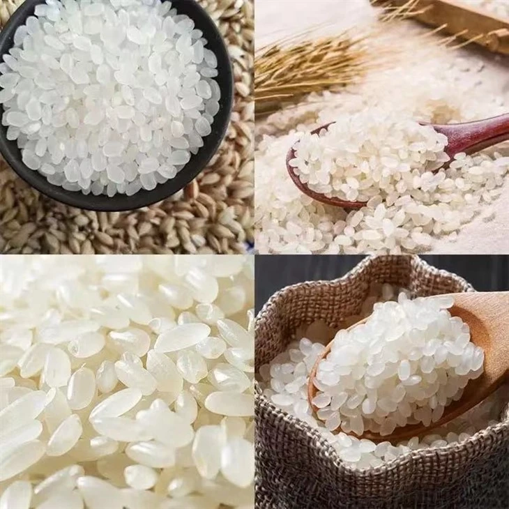 Extruded Artificial Rice Making Machine